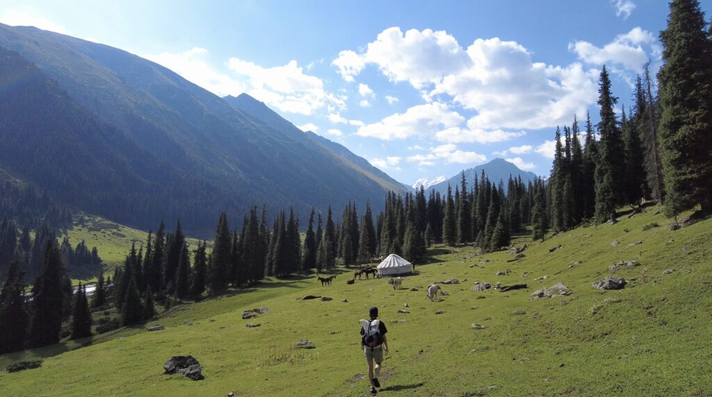 アルティンアラシャンユルト