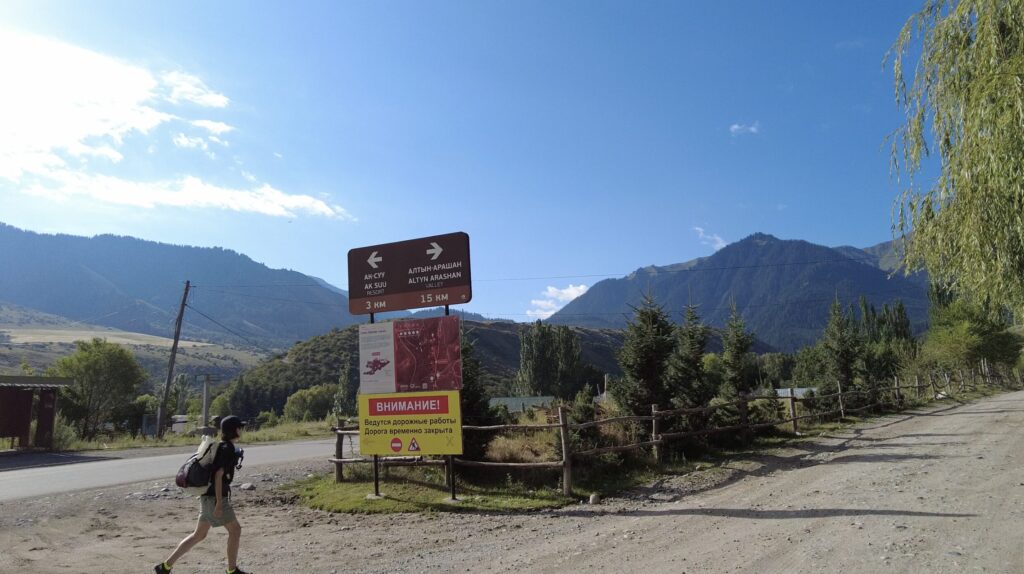 アルティンアラシャン分岐