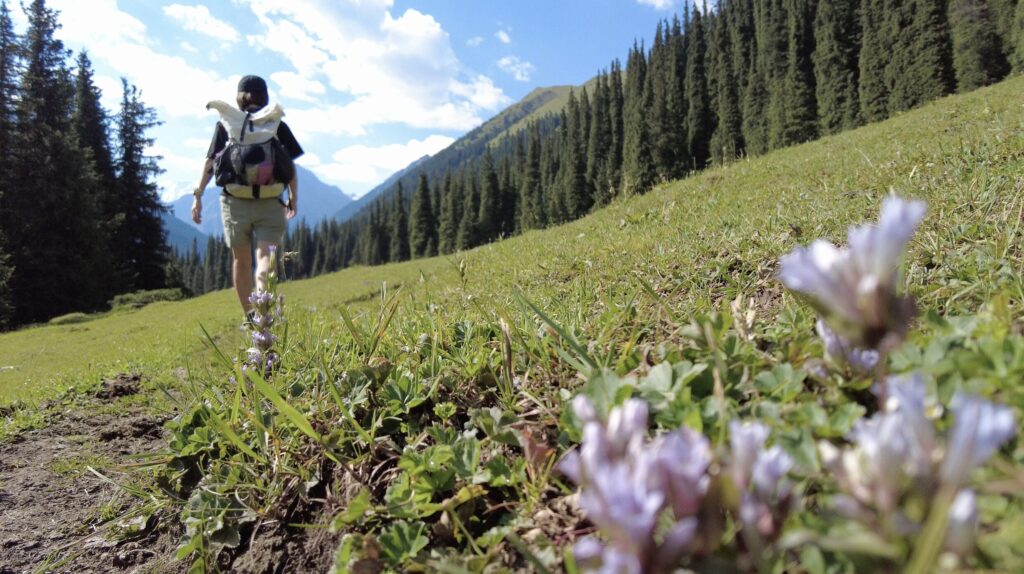 アルティンアラシャンのお花