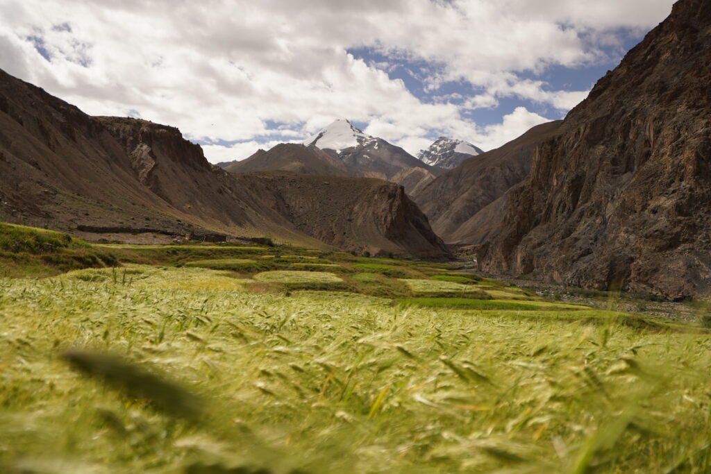 インド_マルカバリー