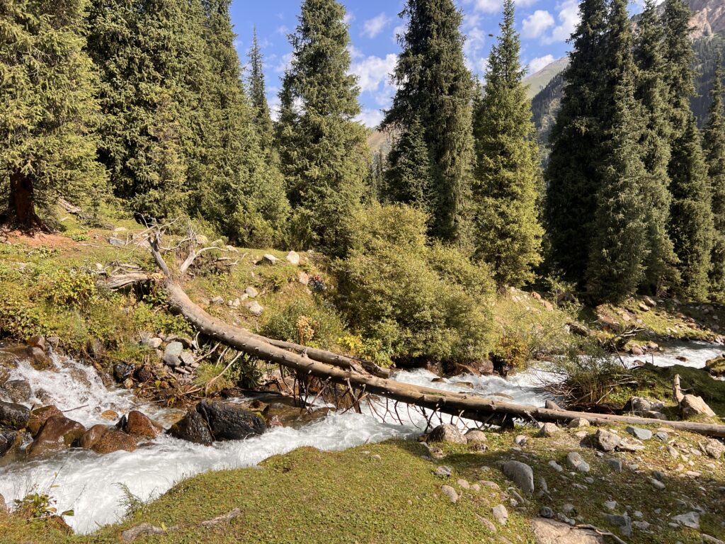 アルティンアラシャン丸太橋