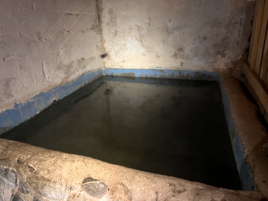 Arashan Hotel温泉2