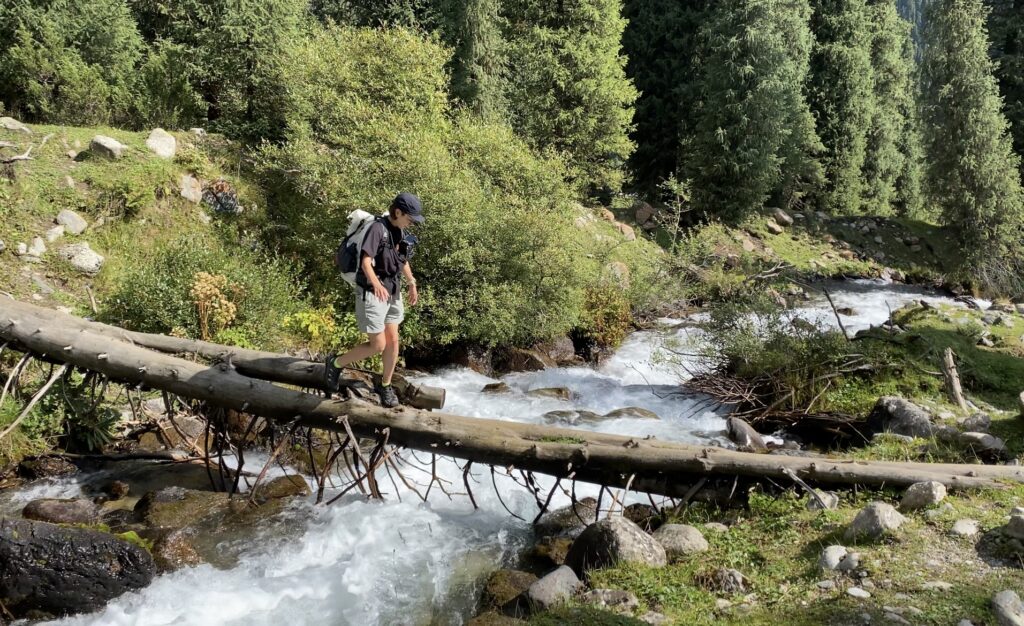 アルティンアラシャン丸太橋