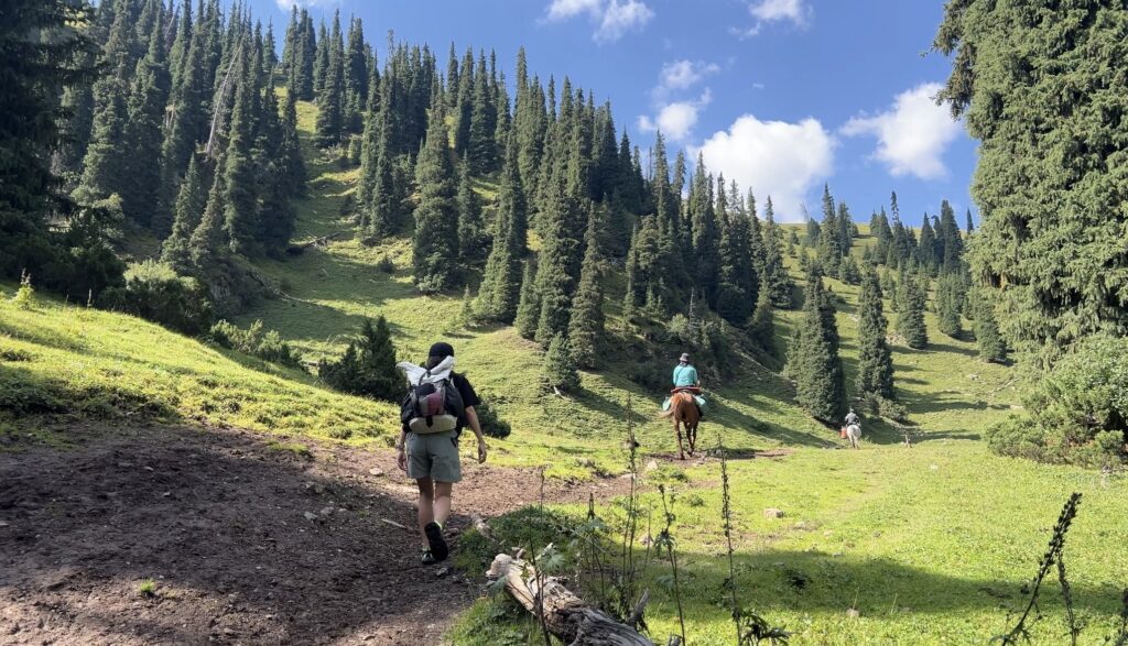 アルティンアラシャン序盤の森馬を追いかける