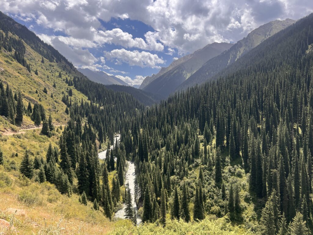 アルティンアラシャン谷