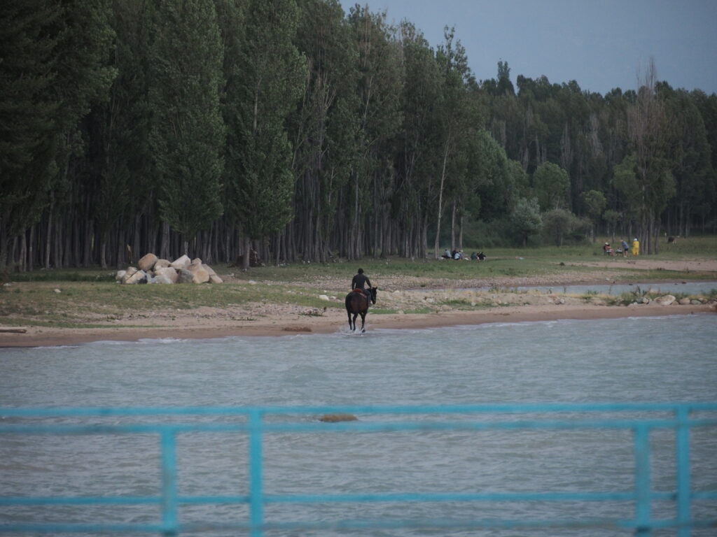 イシククル湖畔で走る馬