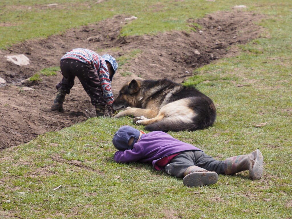 アルティンアラシャンの子どもたち