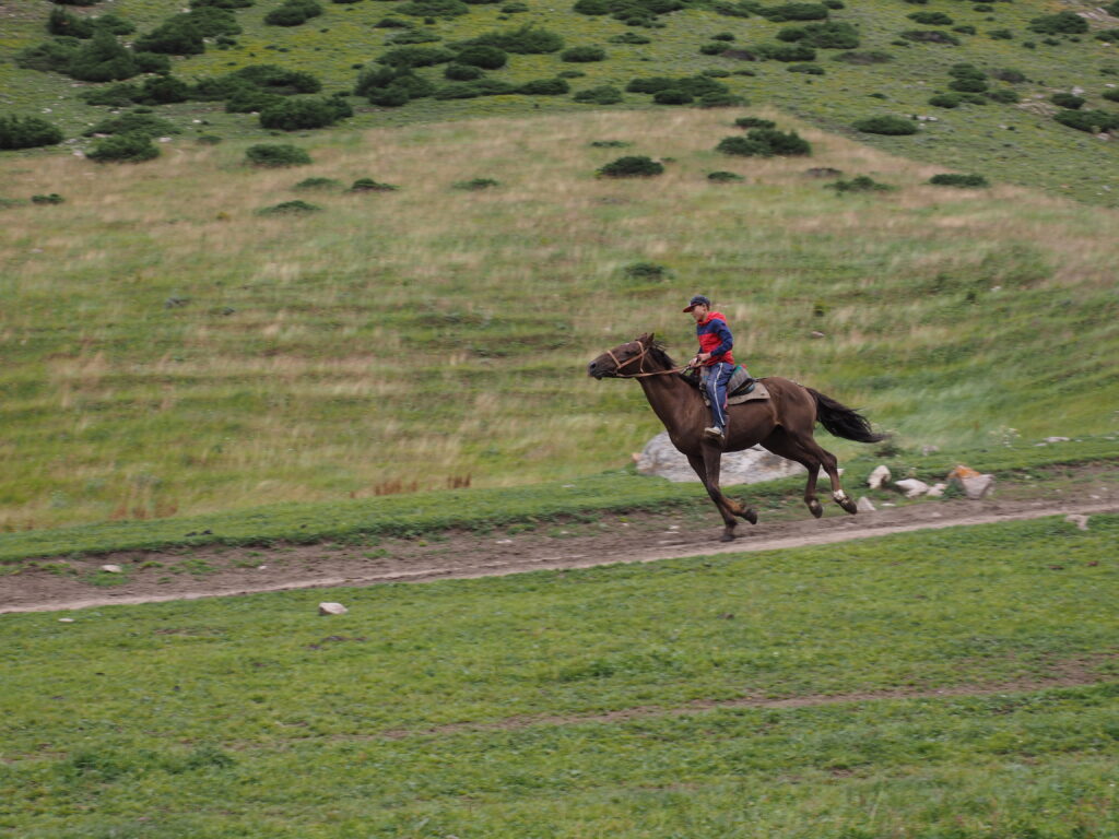 アルティンアラシャン馬を走らせるキルギスの子ども