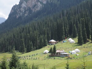 アルティンアラシャン