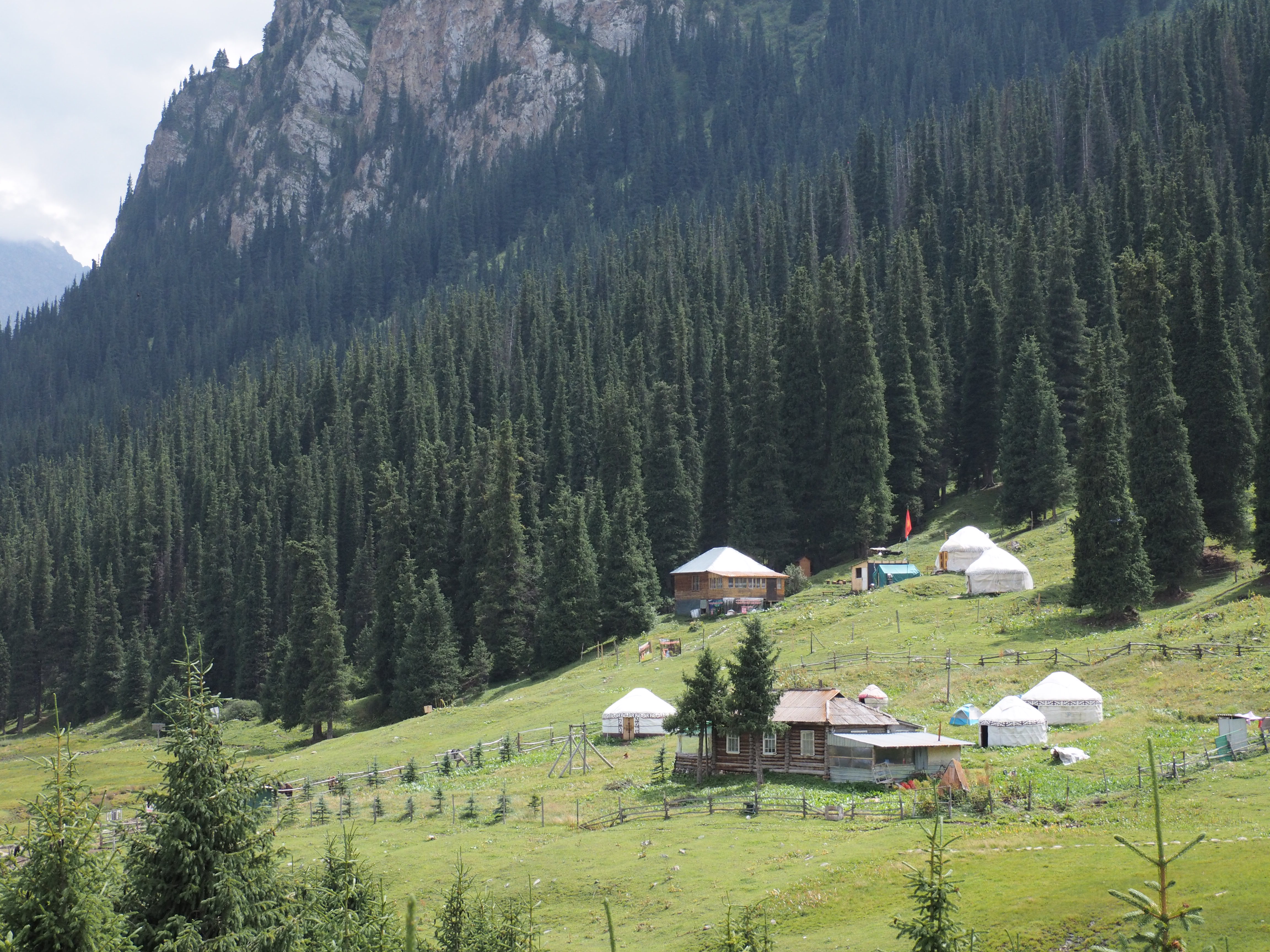 アルティンアラシャン