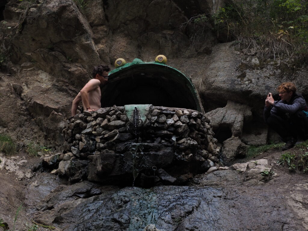 アルティンアラシャン秘湯温泉カエル