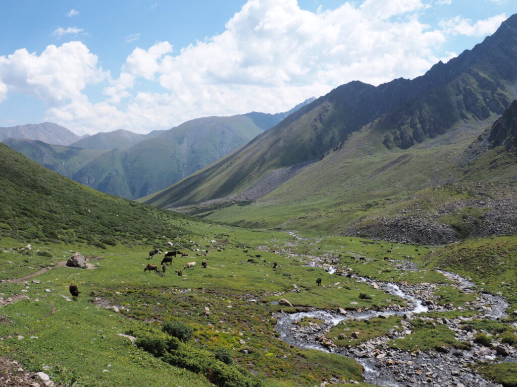 アルティンアラシャンの谷