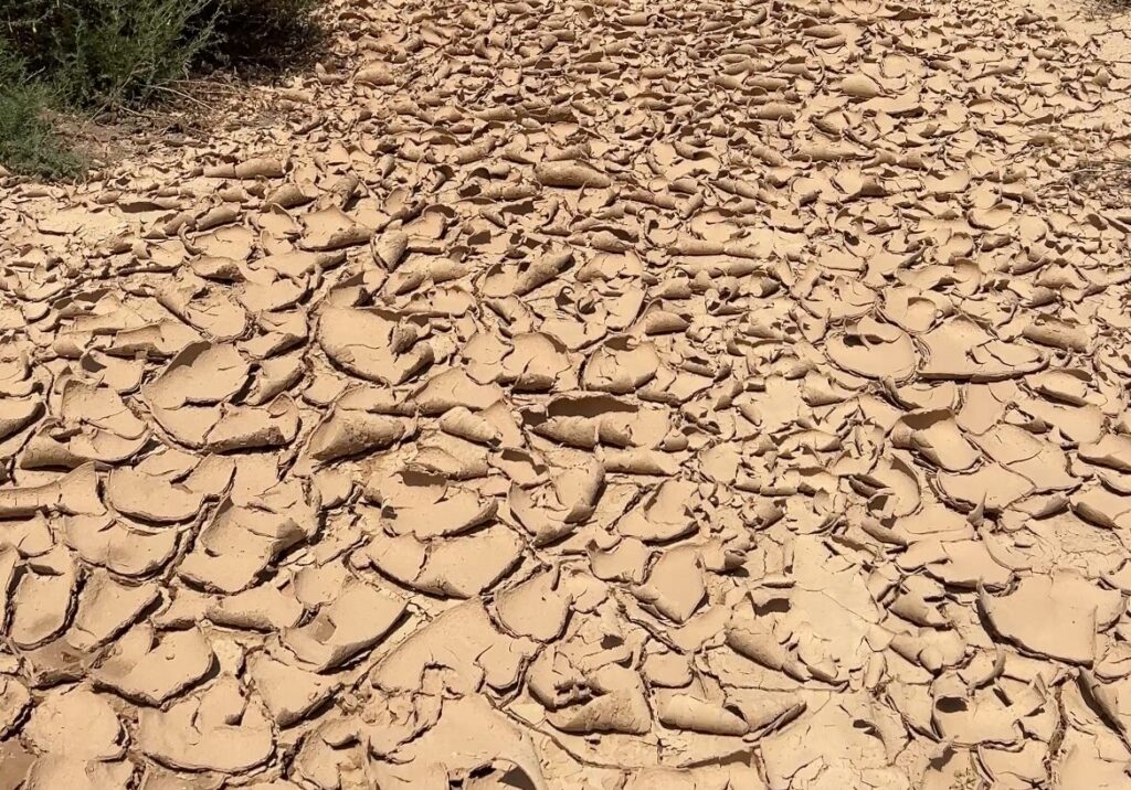スカスカ渓谷への乾燥した道