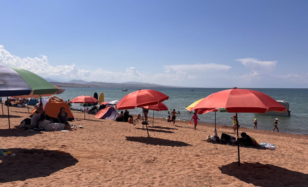 カジサイのビーチ