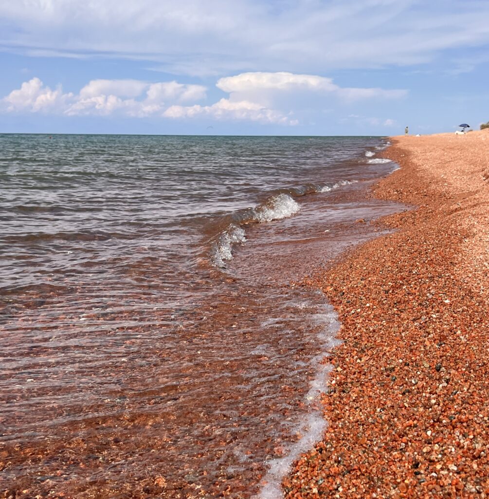 カジサイのビーチ
