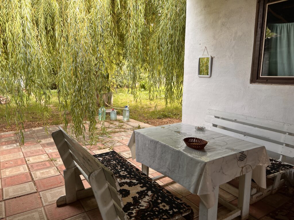 カジサイ宿の庭