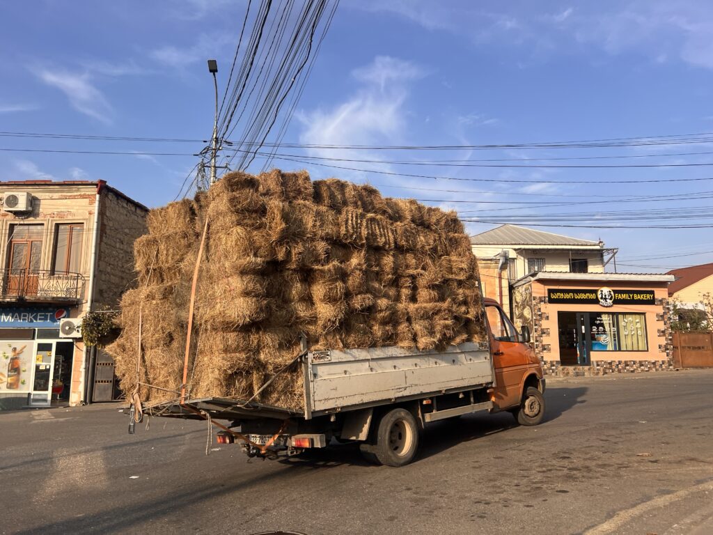 ジョージア過積載